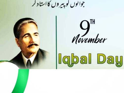 WhatsApp Image 2024-11-09 at 1.52.23 PM