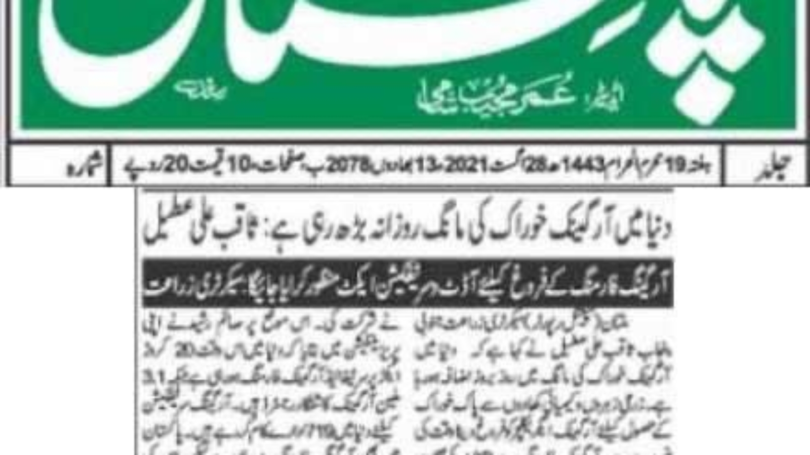 WhatsApp Image 2024-11-19 at 2.08.34 AM (1)